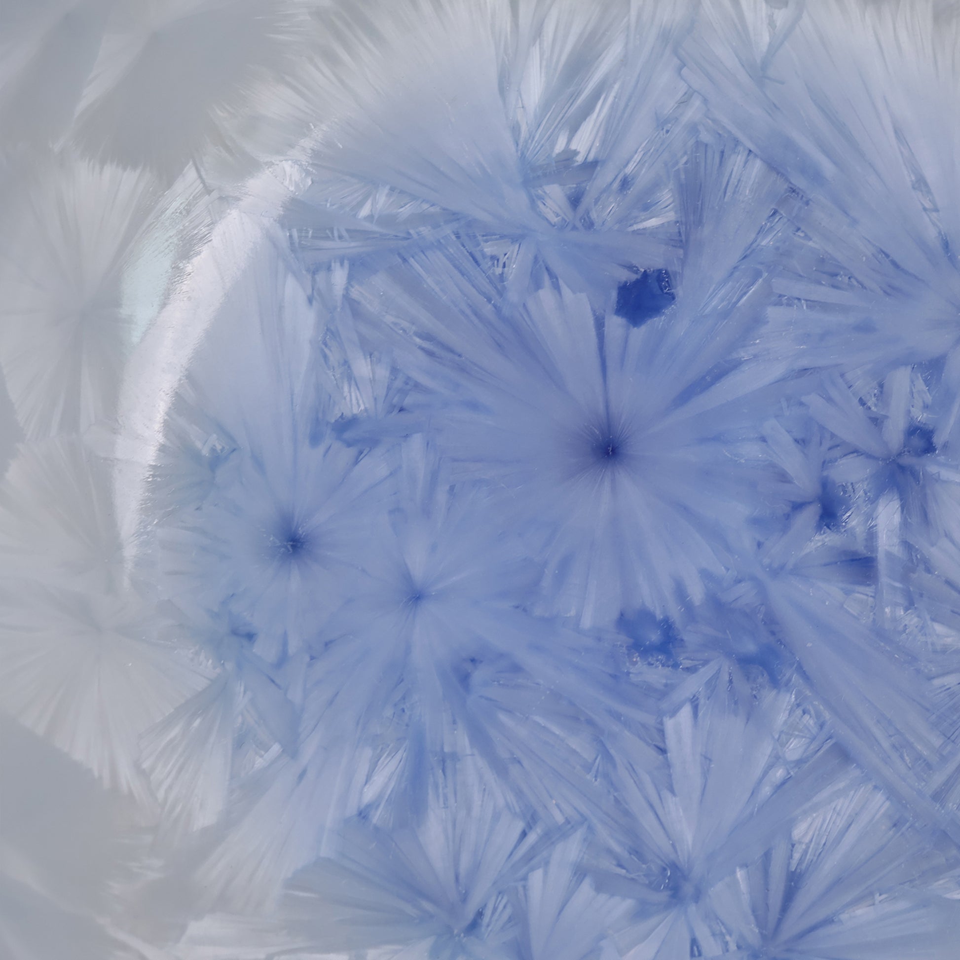 Marine Lapis | Handmade Ceramic Crystalline Glaze Textured Bowl - Je t'aime Resolute