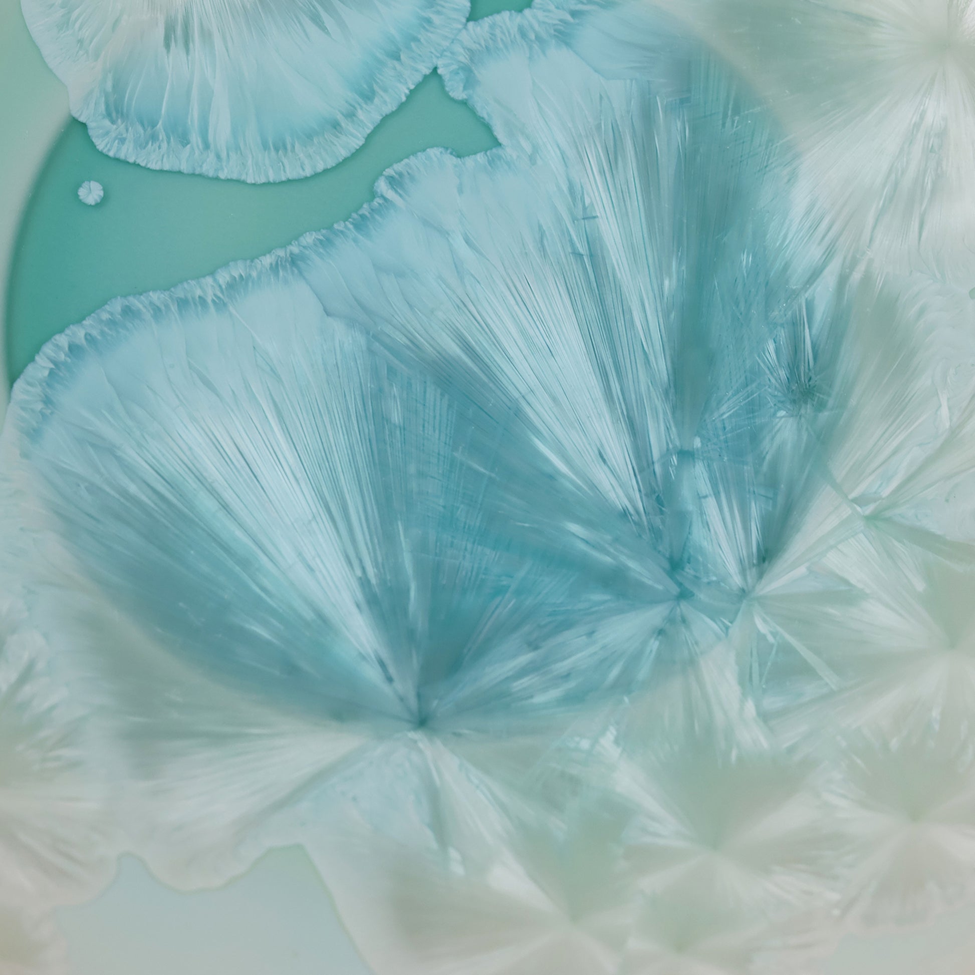 Frozen Lake | Handmade Ceramic Crystalline Glaze Mini Dessert Plate - Je t'aime Resolute