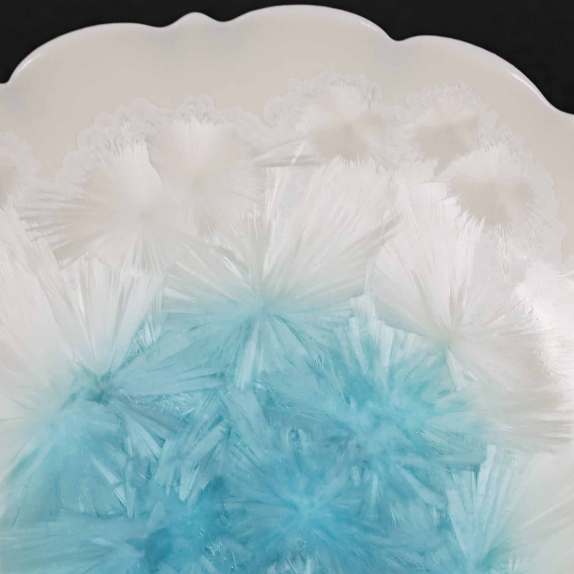 Forzen Lake | Floral Edge Handmade Ceramic Crystalline Glaze Mini Dessert Plate - Je t'aime Resolute