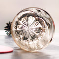 Edo Kiriko Handcrafted Peacock Pattern Whisky Glass Gray Phoenix with Wooden Box - Je t'aime Resolute