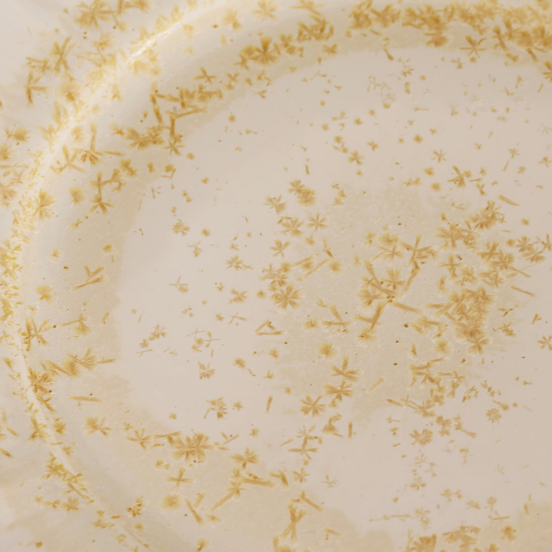 Golden Osmanthus | Handmade Ceramic Crystalline Glaze Dinner Plate with Floral Rim - Je t'aime Resolute