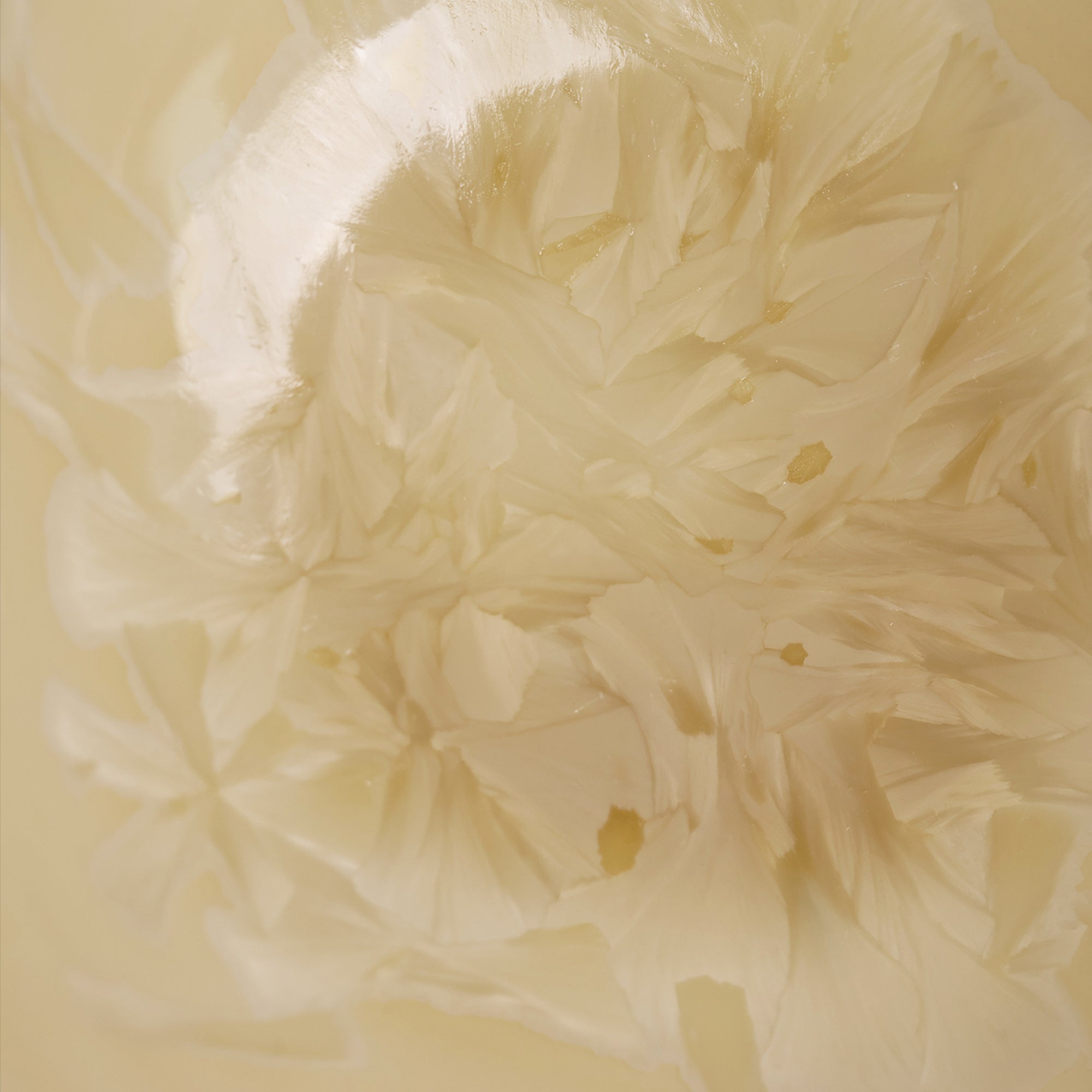 Sunlit Bloom | Handmade Ceramic Crystalline Glaze Soup Bowl - Je t'aime Resolute