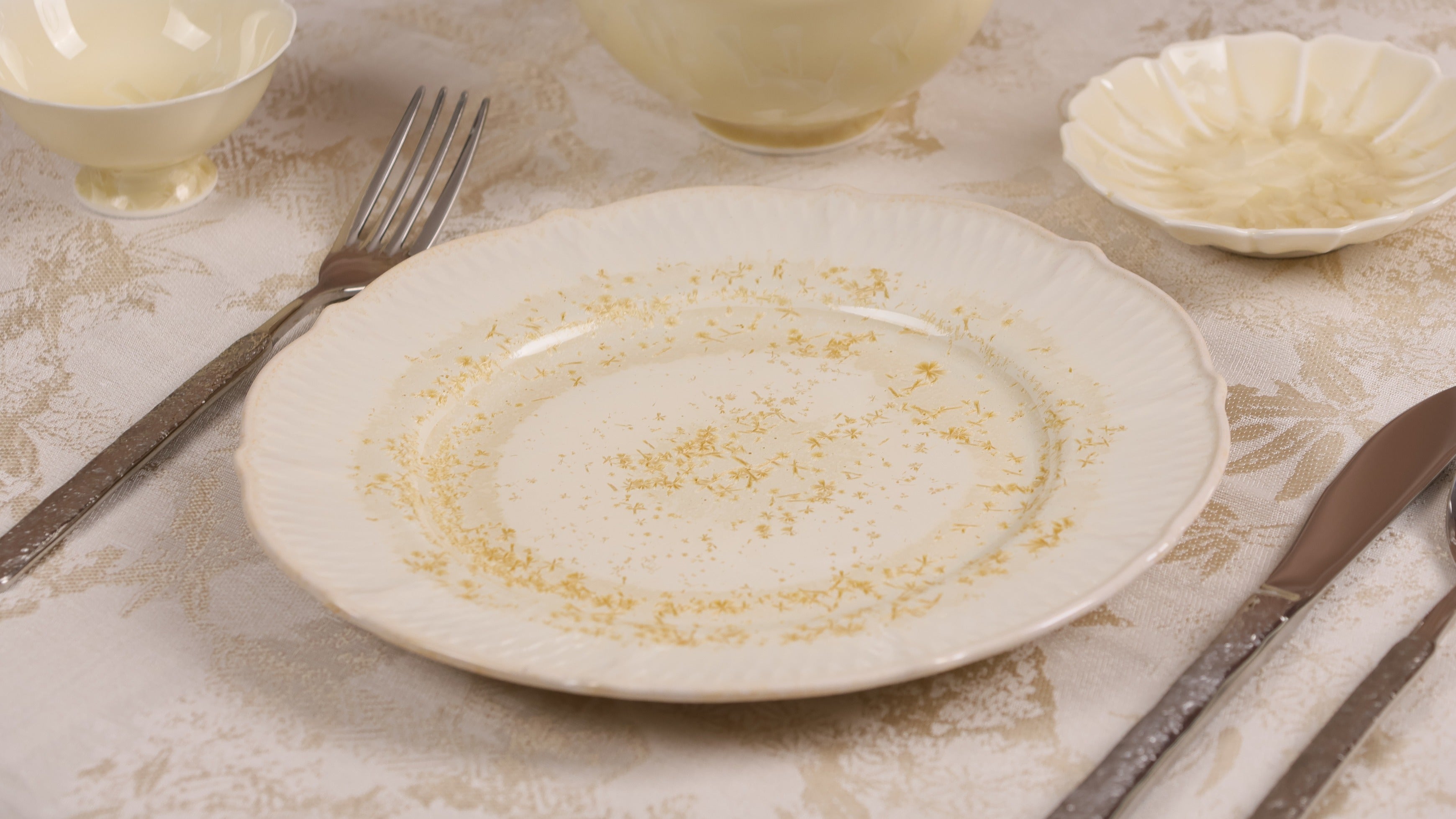 collection-banner-image